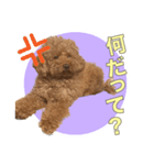 といぷーどる1（個別スタンプ：10）