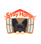 おまめちゃん2！（個別スタンプ：3）