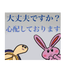 カメさんとお友達のほんわか敬語（個別スタンプ：6）