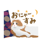 もふ猫クゥの毎日使えるスタンプ（個別スタンプ：3）