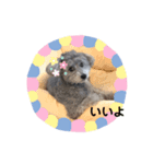 可愛いおじいさん犬アース（個別スタンプ：2）
