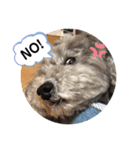 可愛いおじいさん犬アース（個別スタンプ：6）