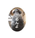 可愛いおじいさん犬アース（個別スタンプ：7）