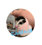 フェレット❤モモンガ（個別スタンプ：3）