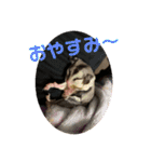 フェレット❤モモンガ（個別スタンプ：4）