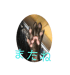 フェレット❤モモンガ（個別スタンプ：40）