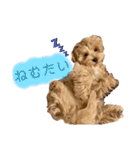マルプーチロル スタンプ（個別スタンプ：10）