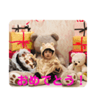 今日のイチ君 1st B.D！（個別スタンプ：16）