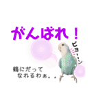 ♀こじろー4（個別スタンプ：7）