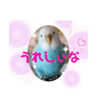 ♀こじろー4（個別スタンプ：9）