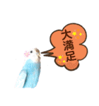 ♀こじろー4（個別スタンプ：10）
