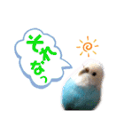 ♀こじろー4（個別スタンプ：14）