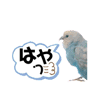 ♀こじろー4（個別スタンプ：18）