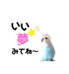 ♀こじろー4（個別スタンプ：27）