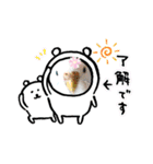 ♀こじろー4（個別スタンプ：34）