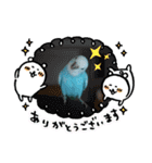 ♀こじろー4（個別スタンプ：39）