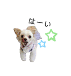 なっつ♡ぴのん日常会話(敬語＆タメ語)（個別スタンプ：6）