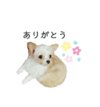 なっつ♡ぴのん日常会話(敬語＆タメ語)（個別スタンプ：18）