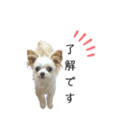 なっつ♡ぴのん日常会話(敬語＆タメ語)（個別スタンプ：27）