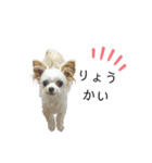 なっつ♡ぴのん日常会話(敬語＆タメ語)（個別スタンプ：28）