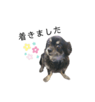 なっつ♡ぴのん日常会話(敬語＆タメ語)（個別スタンプ：31）