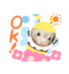 フェレットの桃花桜 3（個別スタンプ：7）