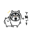 黒柴じゃんけんの日常（個別スタンプ：6）