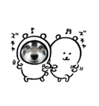 黒柴じゃんけんの日常（個別スタンプ：8）