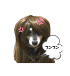 黒柴じゃんけんの日常（個別スタンプ：20）