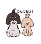 ドゥードゥル犬のソラとマメ（個別スタンプ：1）