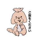 ドゥードゥル犬のソラとマメ（個別スタンプ：2）