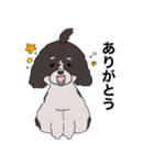 ドゥードゥル犬のソラとマメ（個別スタンプ：3）