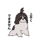 ドゥードゥル犬のソラとマメ（個別スタンプ：5）