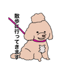 ドゥードゥル犬のソラとマメ（個別スタンプ：12）