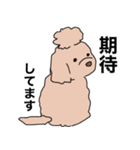 ドゥードゥル犬のソラとマメ（個別スタンプ：14）