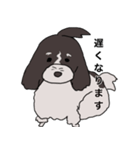 ドゥードゥル犬のソラとマメ（個別スタンプ：15）