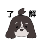 ドゥードゥル犬のソラとマメ（個別スタンプ：24）