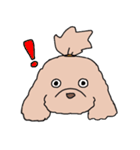 ドゥードゥル犬のソラとマメ（個別スタンプ：25）