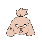 ドゥードゥル犬のソラとマメ（個別スタンプ：27）