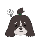 ドゥードゥル犬のソラとマメ（個別スタンプ：28）