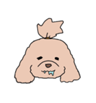 ドゥードゥル犬のソラとマメ（個別スタンプ：29）