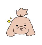 ドゥードゥル犬のソラとマメ（個別スタンプ：31）