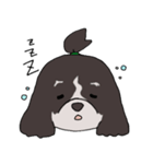 ドゥードゥル犬のソラとマメ（個別スタンプ：32）