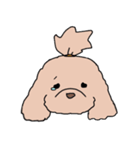 ドゥードゥル犬のソラとマメ（個別スタンプ：33）