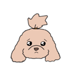 ドゥードゥル犬のソラとマメ（個別スタンプ：37）