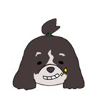 ドゥードゥル犬のソラとマメ（個別スタンプ：38）