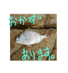 瀬戸内海で使う今日の釣りもの。(試作)（個別スタンプ：3）