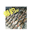 瀬戸内海で使う今日の釣りもの。(試作)（個別スタンプ：4）