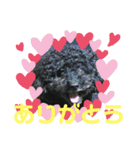 わんこの響輝くん③（個別スタンプ：2）