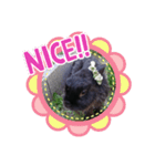 くろうさぎさん（個別スタンプ：1）
